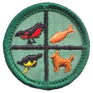 Vintage 1964 Girl Scouts Badge - Round 1.5”
